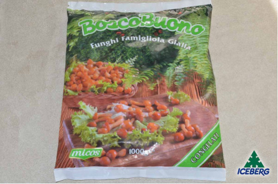 FUNGHI FAMIGLIOLA GIALLA           6X1KG   SG