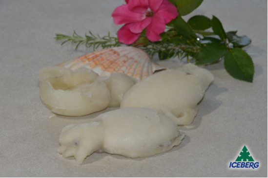 SEPPIE CHOCO 50/100 P.P.           1X5KG   CG