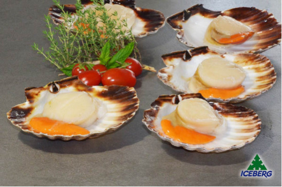 CAPPESANTE ATLANT. M/G 9/11 FRANCIA1X5KG   CG