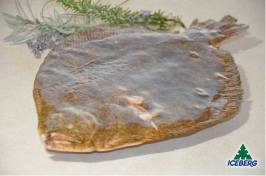 SOASO DEKKER 800/1200 P.P. IQF     1X8KG   CG