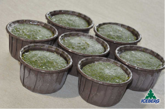 FLAN SPINACI/PROVOLA               40X90GR SG