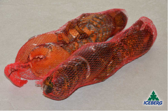 ASTICE AMERIC.CRUDO RETE 500/600   1X4,54KGCG