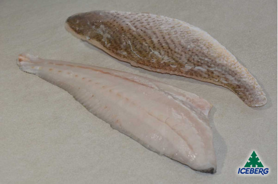 FILETTO OMBRINA ATLANTICA 80/120   1X6KG   CG