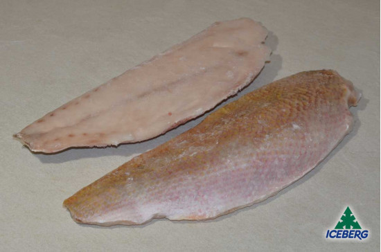 FILETTO LUTIANO 500/800            1X4,5KG CG