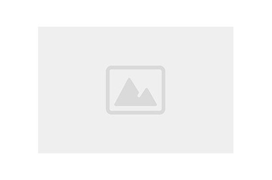 GIRELLO BOVINO S/V BRASILE         1X1PZ  +CG