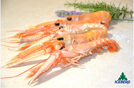 SCAMPI IRLANDA 21/30 C.B. S.       6X2KG   CG
