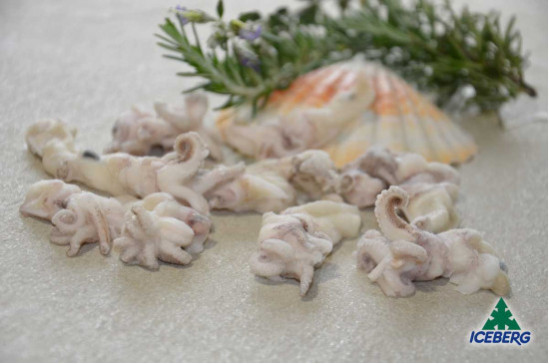 CALAMARO PATAGONICO CIUFFI         5X900GR CG