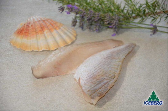 FILETTO OMBRINA ATLANTICA 60/80    1X6KG   CG