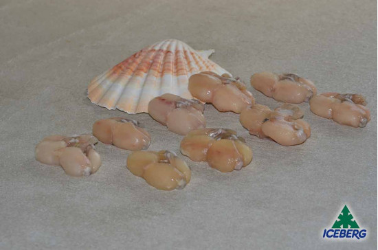 RANE COSCE 26/30 LB                12X800GRSG