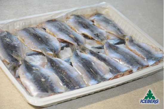 FILETTO SARDINA BUTT.INTERFOGLIATI 3X1KG   CG
