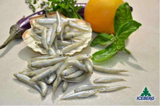 LATTERINO TURCHIA                  2X1KG  +CG