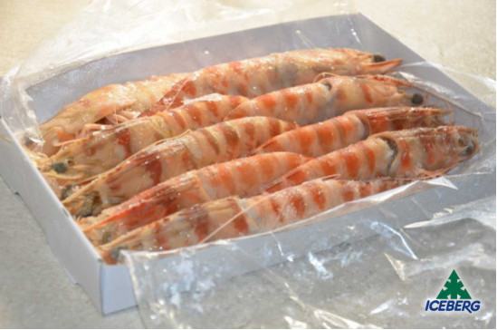 MAZZANCOLLE TUNISIA 000 (U/10)     10X800GRCG