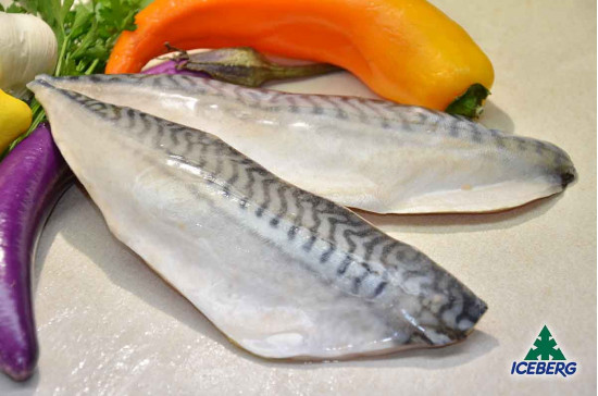 FILETTO SGOMBRO C/P P.P.           1X4KG   SG