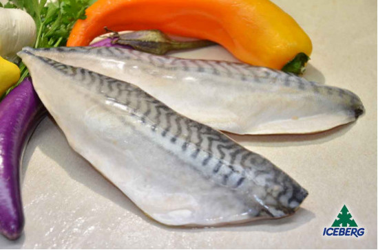 FILETTO SGOMBRO C/P P.P.           1X4KG   SG