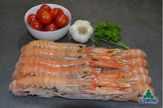 SCAMPI DANIMARCA LAESO 13/16       2X800GR+CG