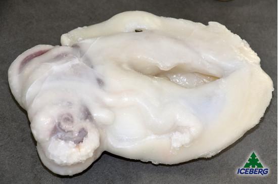 SEPPIE PULITE S.O.B. 500/1000 P.P. 1X5KG   CG