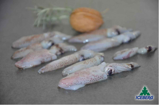 CALAMARO DEL PACIF.3/6 S/PENNA IQF 6X800GR CG