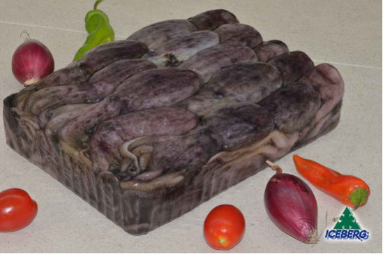 MOSCARDINO TUNISIA M               6X3KG   CG