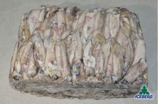 CALAMARO PATAGONICO C4 P.V. M.     1X10KG  SG