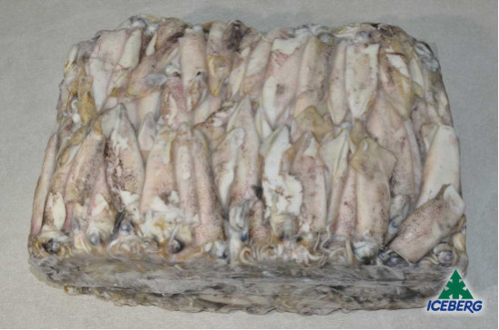 CALAMARO PATAGONICO C4 P.V. M.     1X10KG  SG