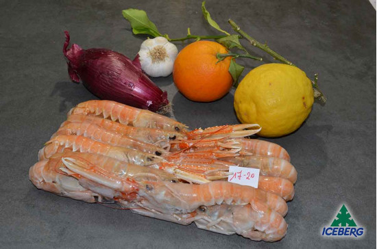 SCAMPI SCOZIA LAESO 17/20          6X750GR CG