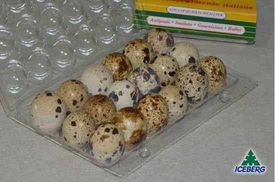 UOVA DI QUAGLIA                    5X18PZ  FR