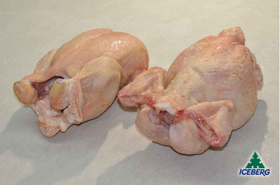 POLLO BUSTO 1300 GR M.             1X9PZ   CG