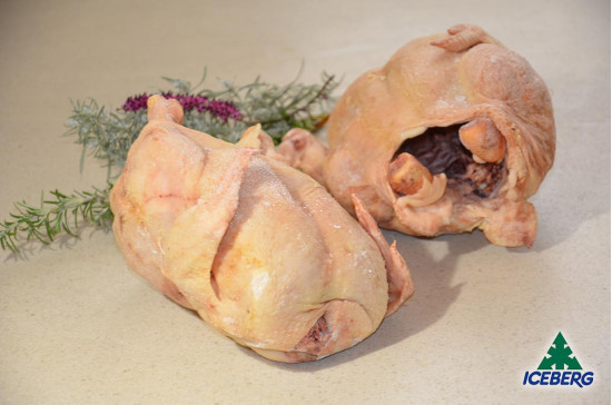 POLLO BUSTO 1400 GR M.             1X8PZ   CG