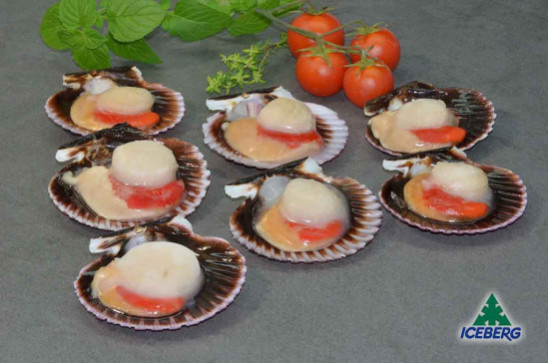 CAPPESANTE PAC. M/G 30/40          2X750GR+CG