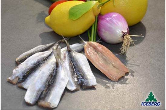 FILETTO ALACCIA INDOPACIFICA       10X800GRCG