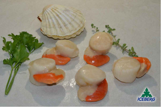 CAPPESANTE ATLANT. S/G G.B. 8/12   2X750GR+CG