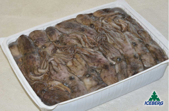 MOSCARDINO TUNISIA PP -60          4X3KG   CG