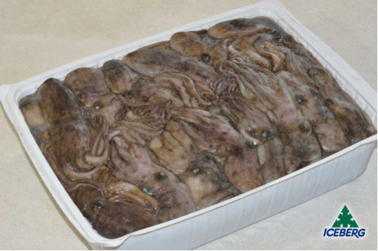 MOSCARDINO TUNISIA PP -60          4X3KG   CG