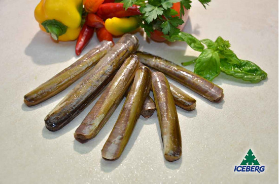 CANNOLICCHIO OCEANICO              2X1KG  +CG