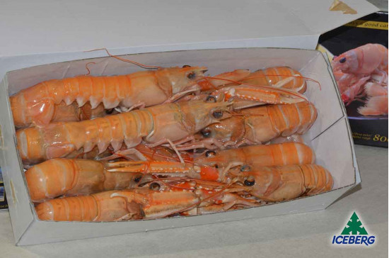 SCAMPI DANIMARCA LAESO  8/12       6X800GR CG