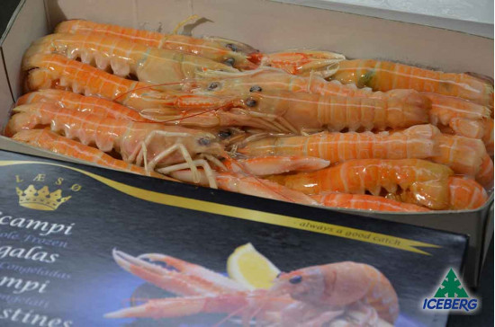 SCAMPI DANIMARCA LAESO 21/30       6X800GR CG