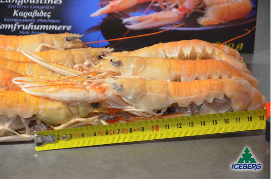 SCAMPI DANIMARCA LAESO 17/20       6X800GR CG