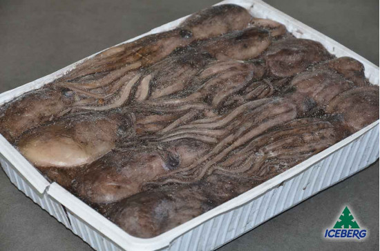 MOSCARDINO TUNISIA GG 200/UP       4X3KG   CG