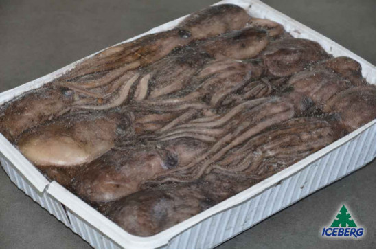 MOSCARDINO TUNISIA GG 200/UP       4X3KG   CG