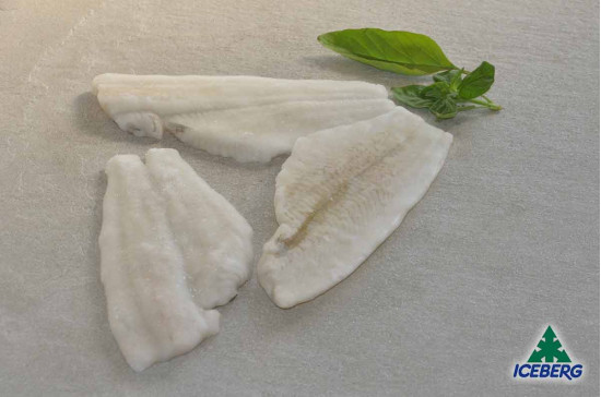 FILETTO PLATESSA N.3 S/P P.P.      1X4KG   CG