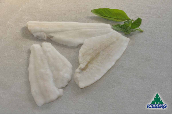 FILETTO PLATESSA N.3 S/P P.P.      1X4KG   CG