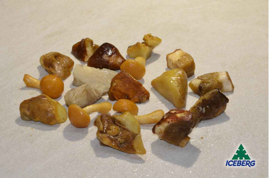 FUNGHI MISTI BOSCOBUONO            6X1KG   SG