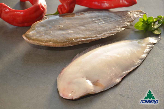 SOGLIOLA DEKKER N.3 P.P.           1X4KG   CG