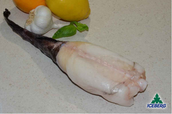 CODE RANA PESC.OCEAN.1000/UP PV    1X12KG  CG