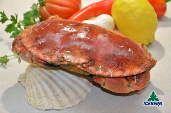 GRANCIPORRO ATLANT.PREC.8/1000     1X10KG  CG