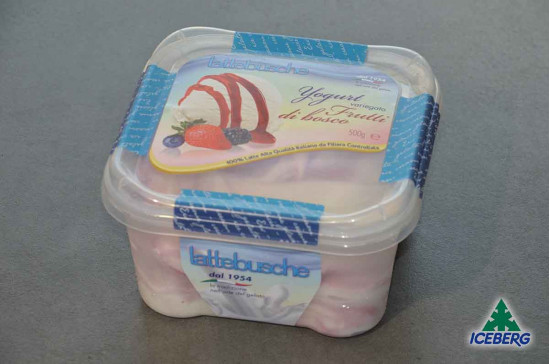 YOGURT VAR. FRUTTI DI BOSCO        6X500GR SG