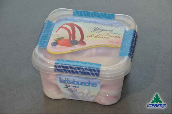 YOGURT VAR. FRUTTI DI BOSCO        6X500GR SG