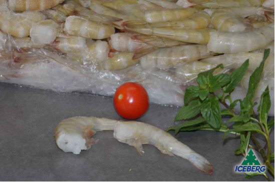 CODE MAZZ.LE TROP.EC. P.P. 51/60 S.6X2KG   CG