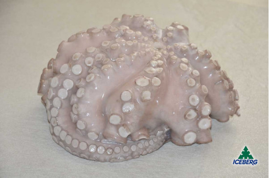 POLPO MAROCCO T3 2/3KG             1X12KG  CG