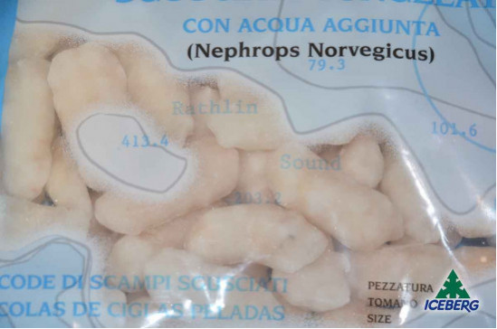 SCAMPI SGUSC. REGNO UNITO 40/60    2X700GR+CG